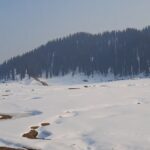 IMG_20240122_194159