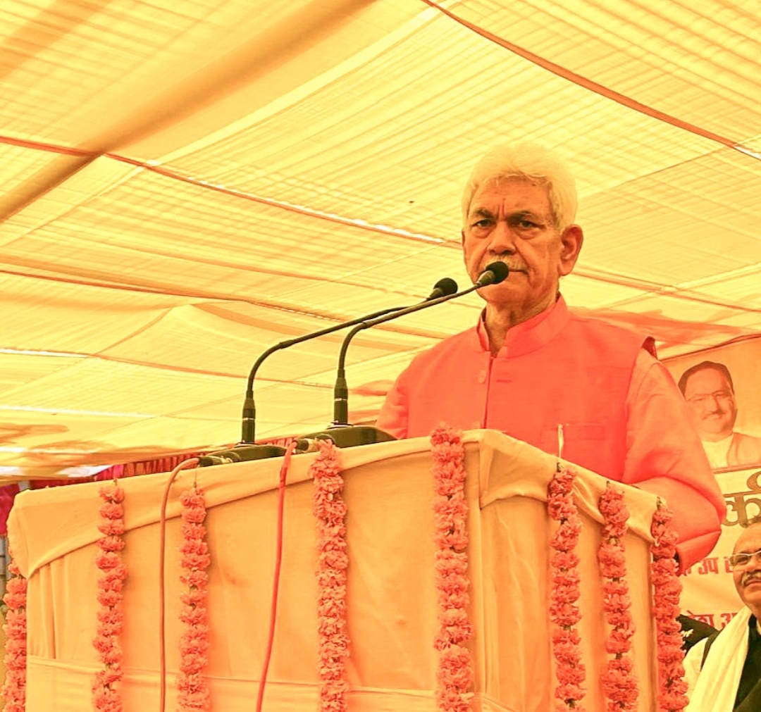 India has made rapid strides in healthcare in past 10 years: LG Sinha ...