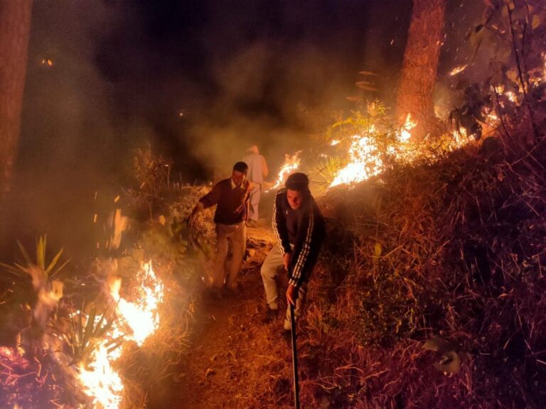 Battling Infernos Bare-Handed  : J&K Forest Guards Cry for Safety and Justice