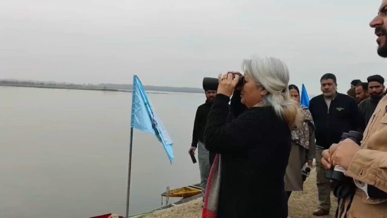 Wular Bird Festival attracts attention, but local stakeholders, trained bird watchers cry neglect