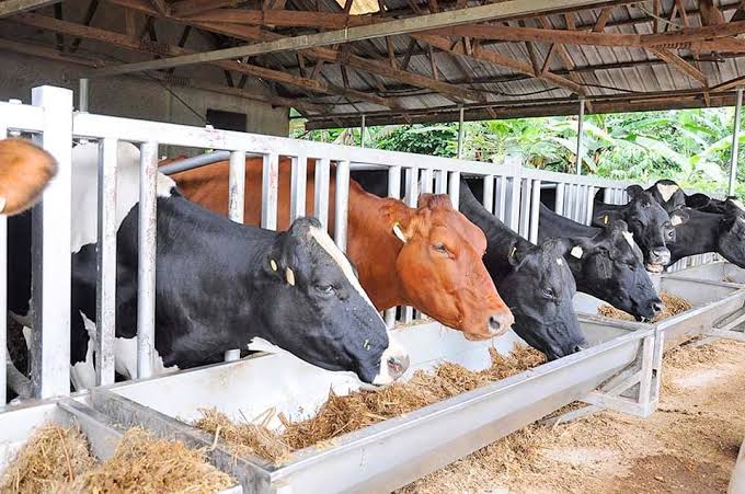 SKUAST-K, KVK Bandipora-1 Organises Entrepreneurship Awareness Programme on Dairy Entrepreneurship