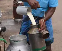 Advisory issued to curb adulteration; states told to launch special registration drives