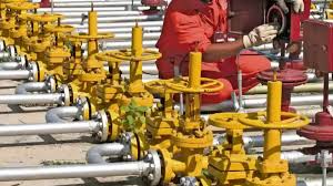 Commercial LPG consumers in major cities and urban areas advised to switch to PNG