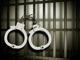 J&K’s Anti-Drug Crackdown: 646 Arrested, 160 Drug Hotspots Identified