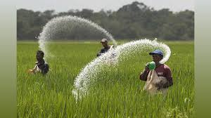 Overall Stock Position of Fertilizers in the country is comfortable; No change in the MRP of Major Fertilizers