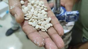 227.7 kg Captagon Tablets/Powder worth ₹182 crore seized; Syrian national linked to syndicate arrested