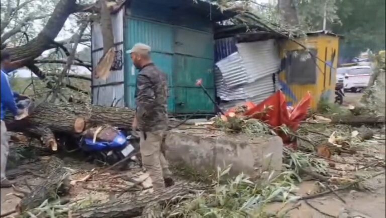 Non-Local Injured in Gusty Winds in North Kashmir, Rains Lash in Plains, Snowfall in Higher Reaches